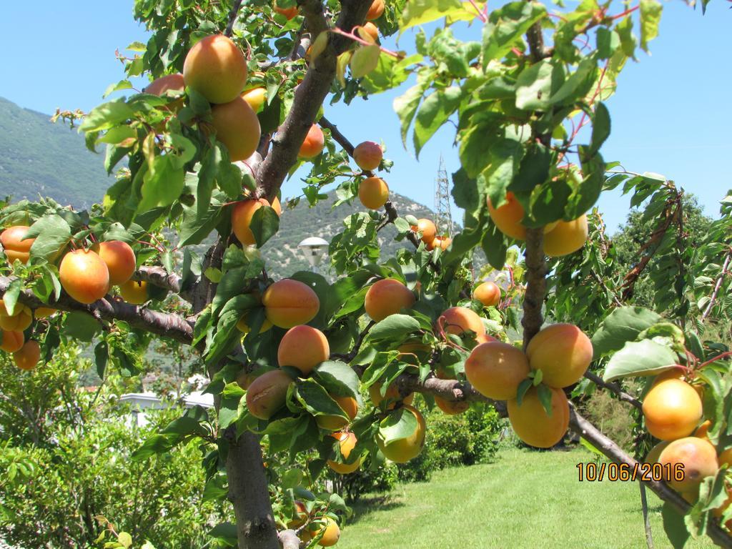 Agritur Arcosole